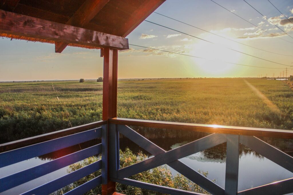 Pescuit în Deltă: o aventură de neuitat în sud-estul Europei (P)