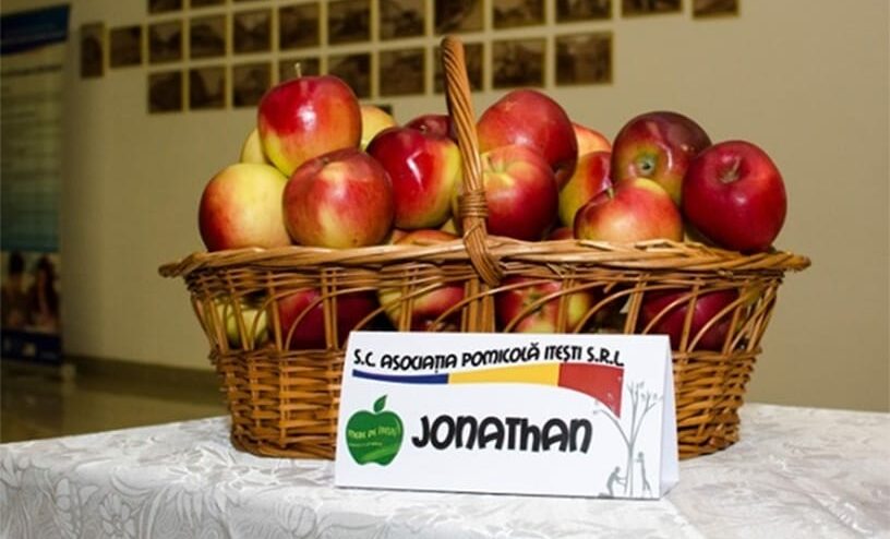 Consolidarea managementului dăunătorilor în livezile din România prin soluții sustenabile