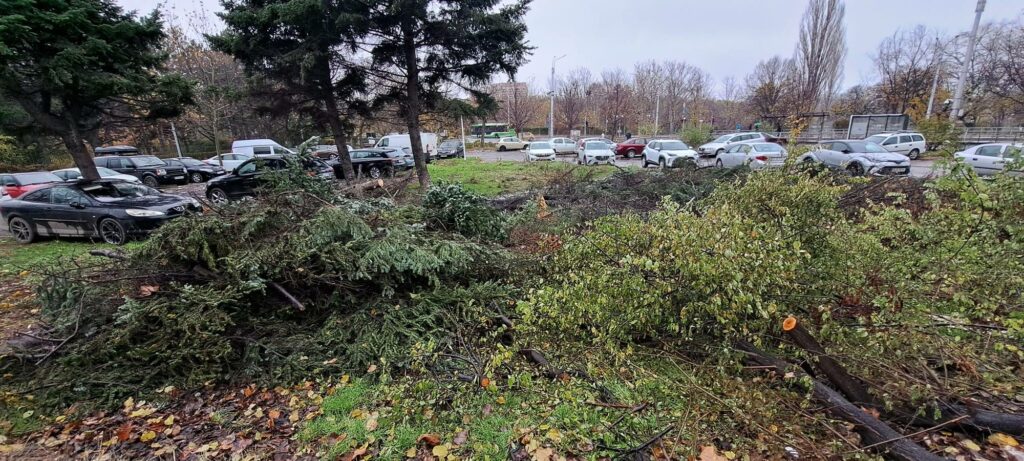 Noi defrișări în Sectorul 3. Locuitorii din Titan cer oprirea “măcelului” spațiilor verzi