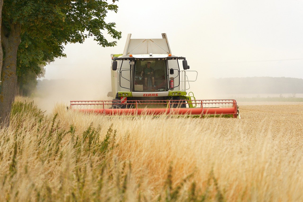Prețul terenurilor agricole în România și UE