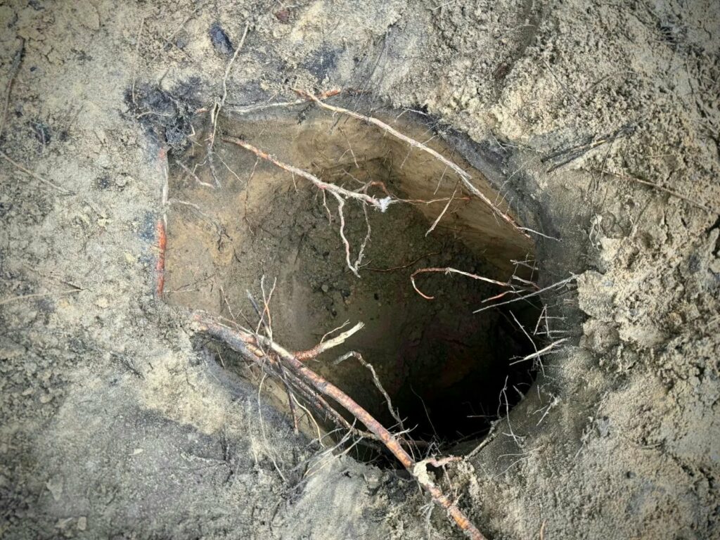 Nou tunel secret pentru migranți ilegali, descoperit în Polonia, la granița cu Belarus