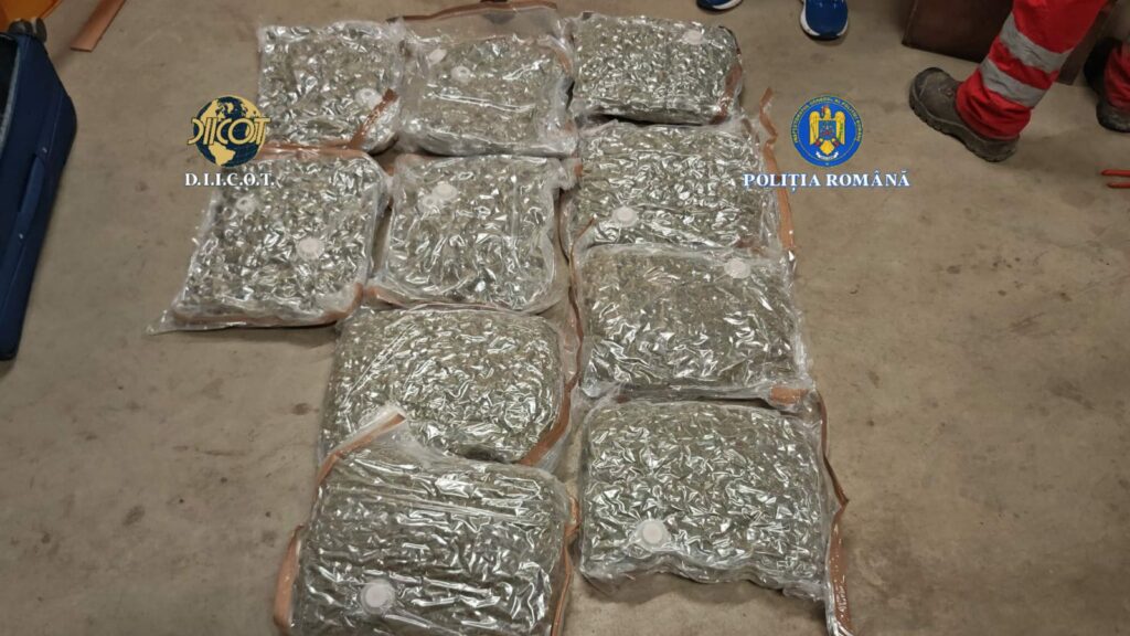 20 de kilograme de canabis, introduse în România, în trolere, prin firme de curierat