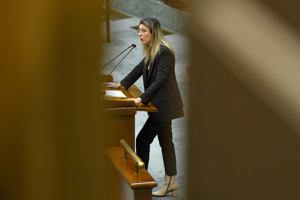 Stejar de 150 de ani ras de pe fața pământului în pădurea Felix / Diana Buzoianu anunță dosare penale pentru firma de exploatare și pentru presupuși complici de la Romsilva