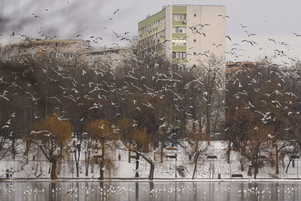 Minus 12 grade în București. Capitala intră sub cod galben de frig