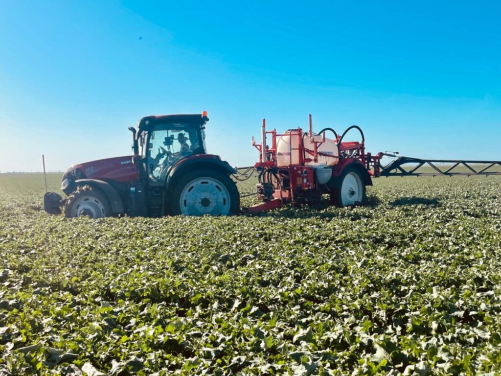 Câștigătoarea TalentA promovează agricultură sustenabilă în România printr-un proiect de măcinare a cerealelor pe piatră