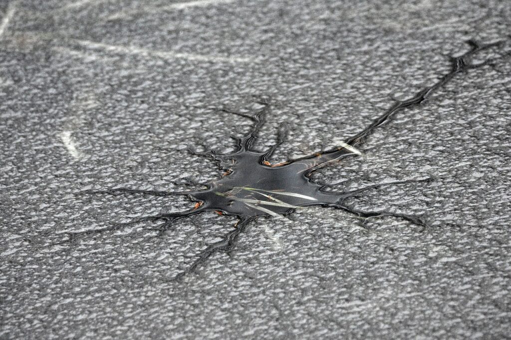 Cel puțin opt cadavre de lebedă au fost scoase dintr-un lac din Vaslui