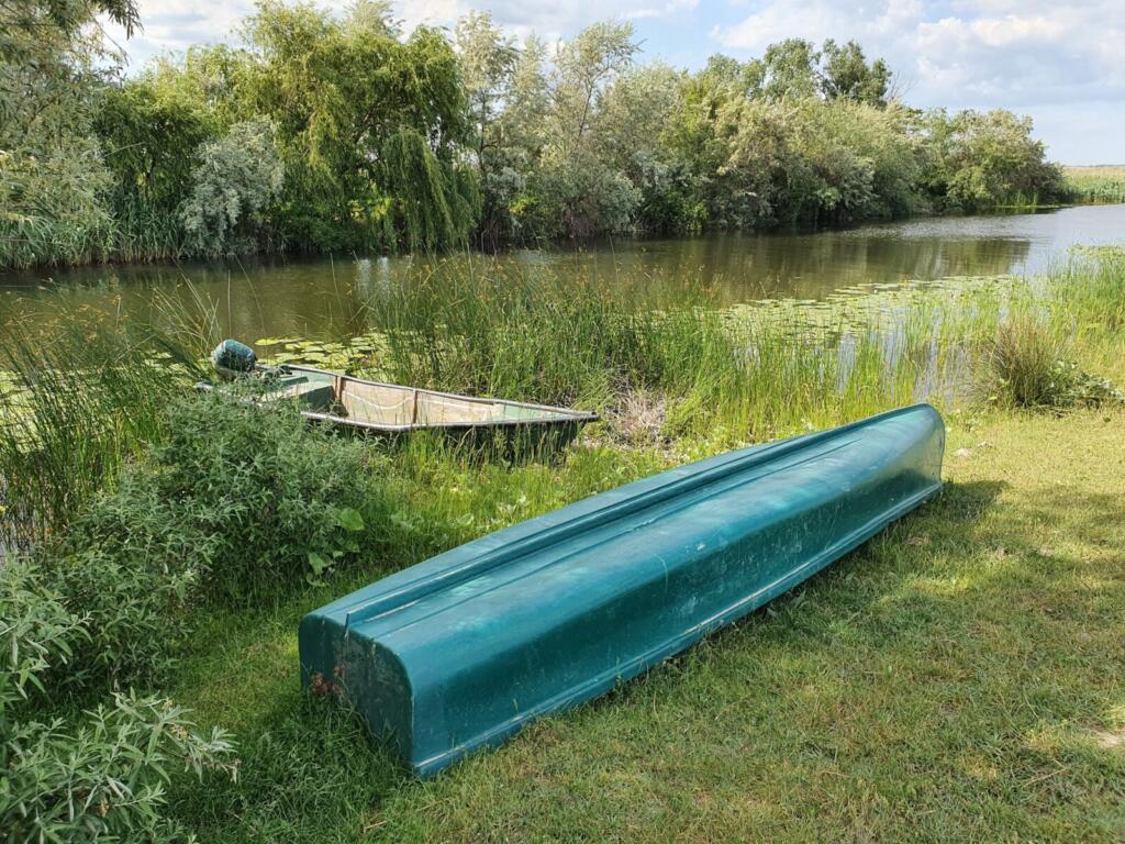 Proiect de lege: impozite la jumătate pentru locuitorii din Apuseni și Delta Dunării