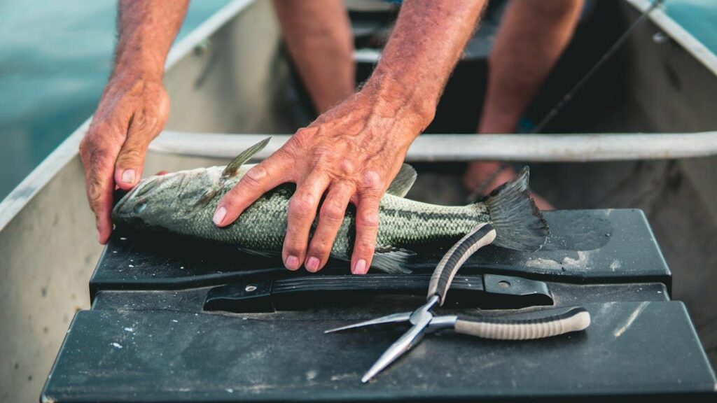 Cum alegi lansete crap pentru distanțe extreme (P)