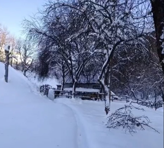 Unicul locuitor al unui sat din Alba, izolat din cauza zăpezii. Polițiștii i-au dus medicamente și alimente