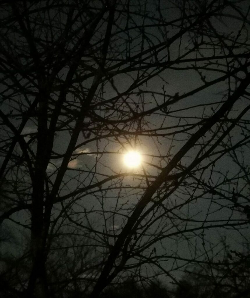 Luna Lupului și credințele iernii. Când se vede prima superlună din 2026?