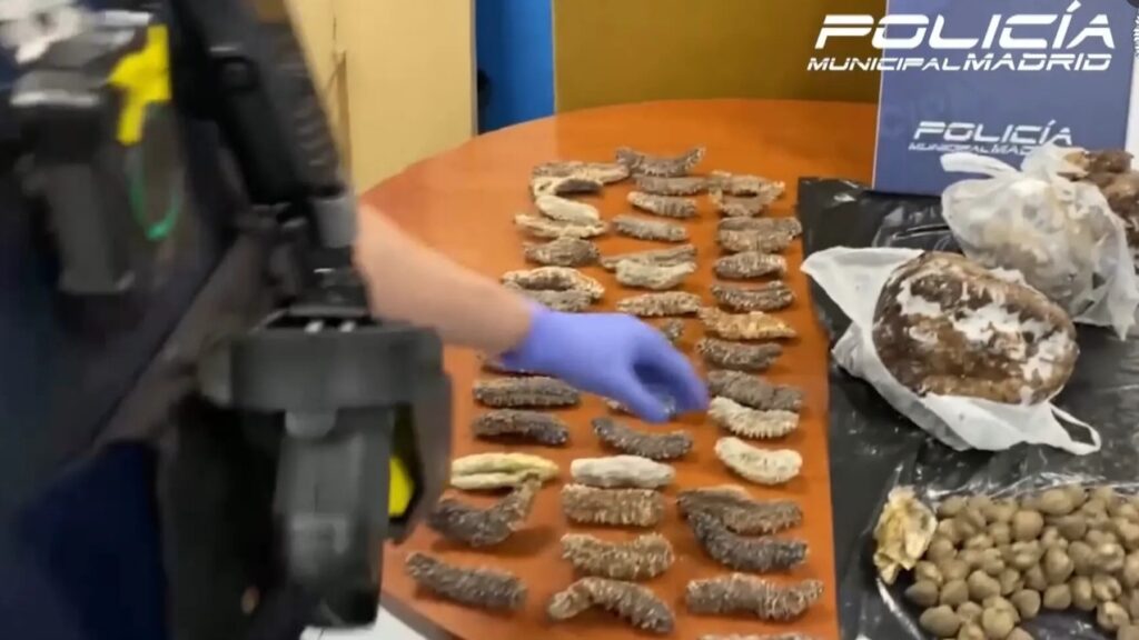 Porumbei ce zburau pe străzi, serviți într-un restaurant chinezesc pe post de rață