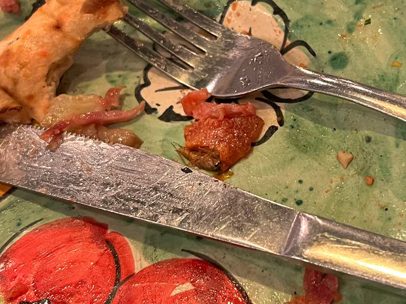 Gândac de bucătărie într-o pizza dintr-un restaurant din Amsterdam