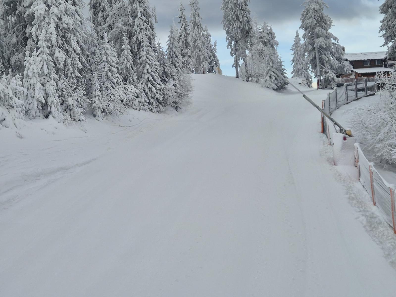 S-au deschis pârtiile din zona superioară a masivului Postăvaru