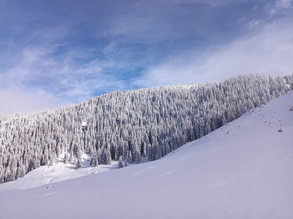 Salvamont Suceava: care sunt traseele montane de evitat în această perioadă / Ce trebuie să ai la tine acum dacă pleci pe un traseu pe munte