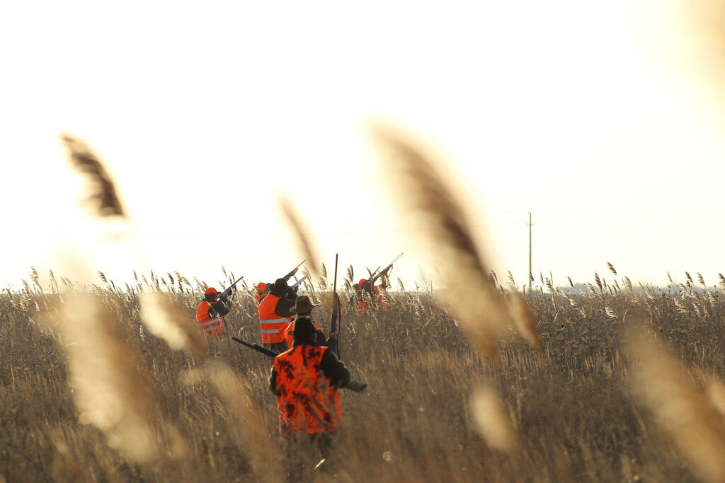 Un bărbat a fost împușcat la o partidă de vânătoare în județul Buzău. A fost transportat cu elicopterul SMURD la un spital din Capitală