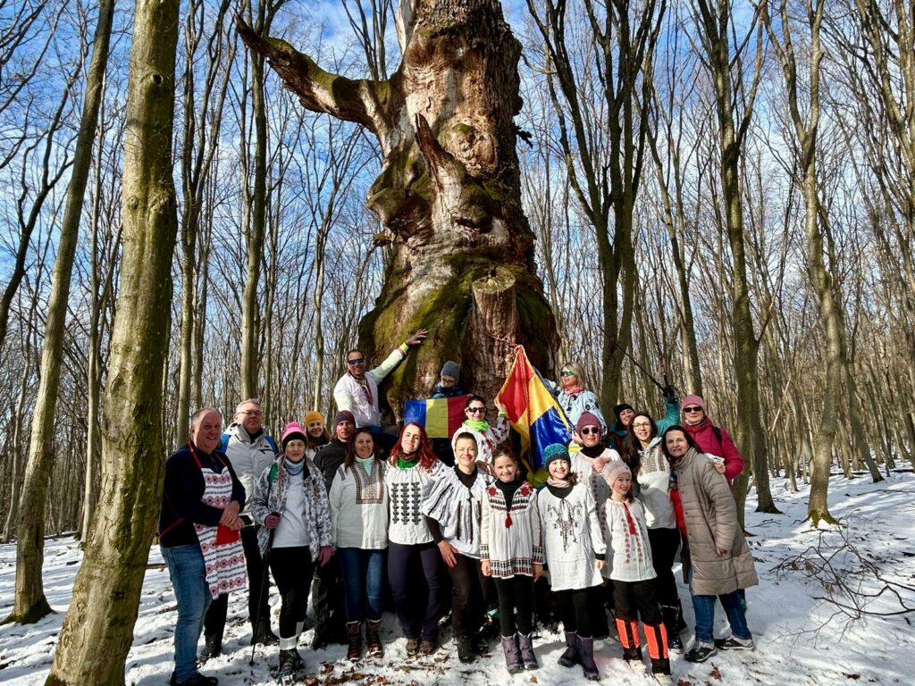 Mica Unire, marcată prin Hora Unirii la un stejar vechi de 700 de ani, în județul Sibiu