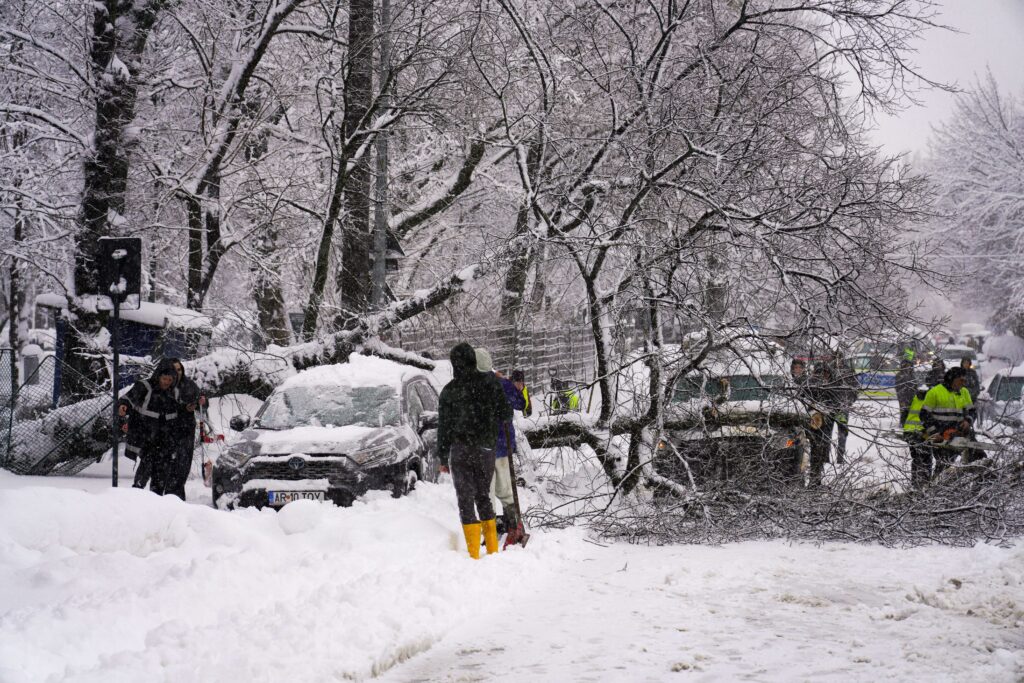 Haos în București după ninsoare: 183 de copaci rupți, zeci de mașini avariate și un microbuz blocat în zăpadă. VIDEO