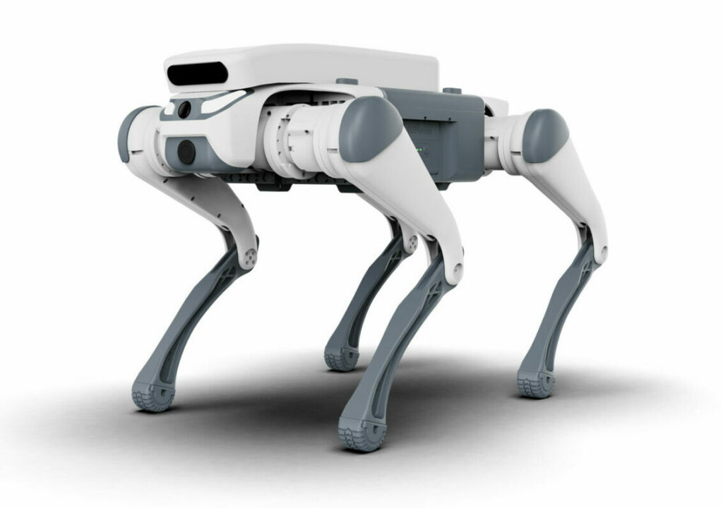 Primul oraș din România unde roboții fac ordine pe străzi
