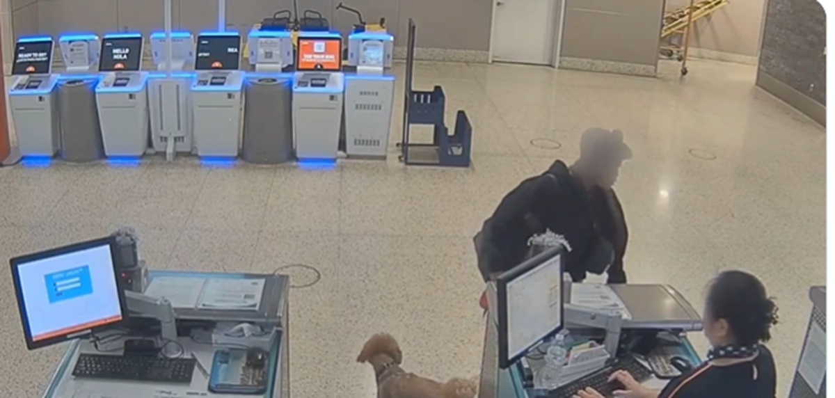 Femeie arestată pentru abandonarea câinelui în aeroport