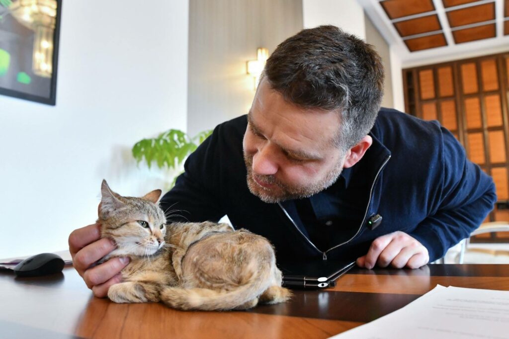 Primăria Capitalei are o angajată nouă: pisicuța Cathy, noua secretară a primarului Ciucu