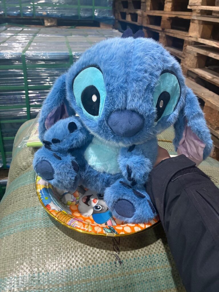 Captură în Portul Constanța: mii de jucării și genți posibil contrafăcute, ridicate de polițiști