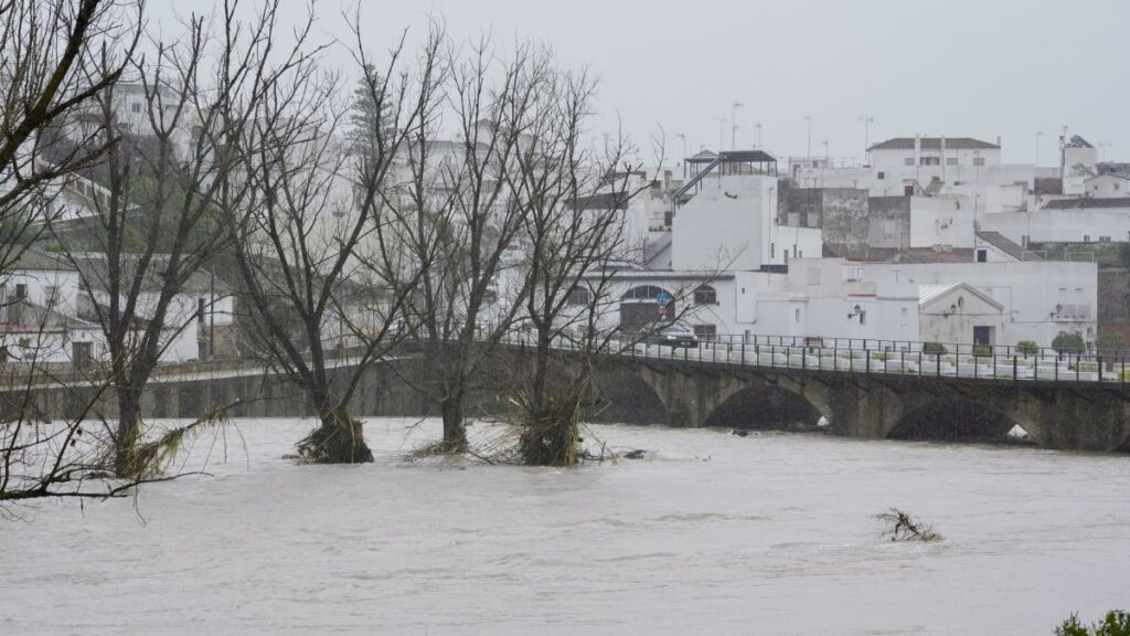 Fermierii anunță „pagube catastrofale” după ce furtuna Marta a lovit Spania și Portugalia