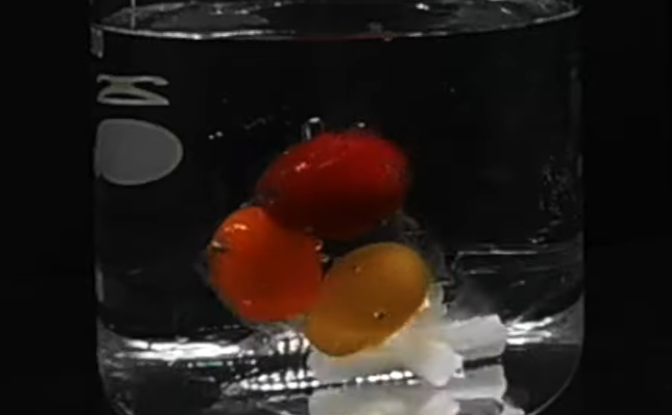 Un nou tip de plastic se dizolvă în apa de mare în doar o oră