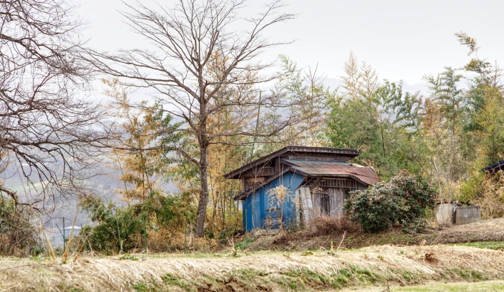 Premieră. Două comune din nordul României au decis să fuzioneze