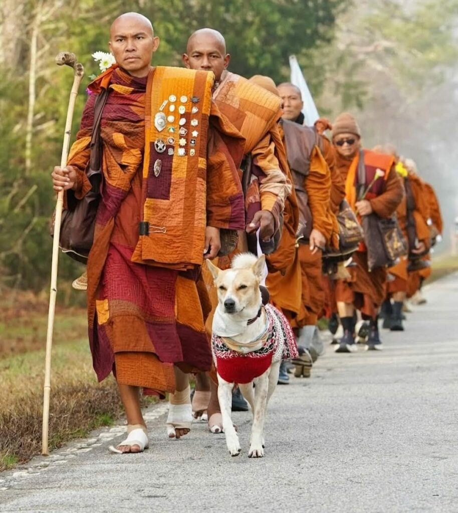 De 100 de zile pe drum: Marșul călugărilor budiști se apropie de final