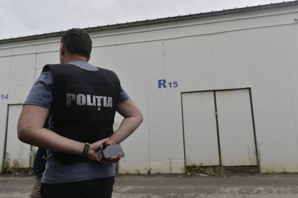 Peste 20 de percheziții în 6 județe, care vizează infracțiuni din domeniul silvic