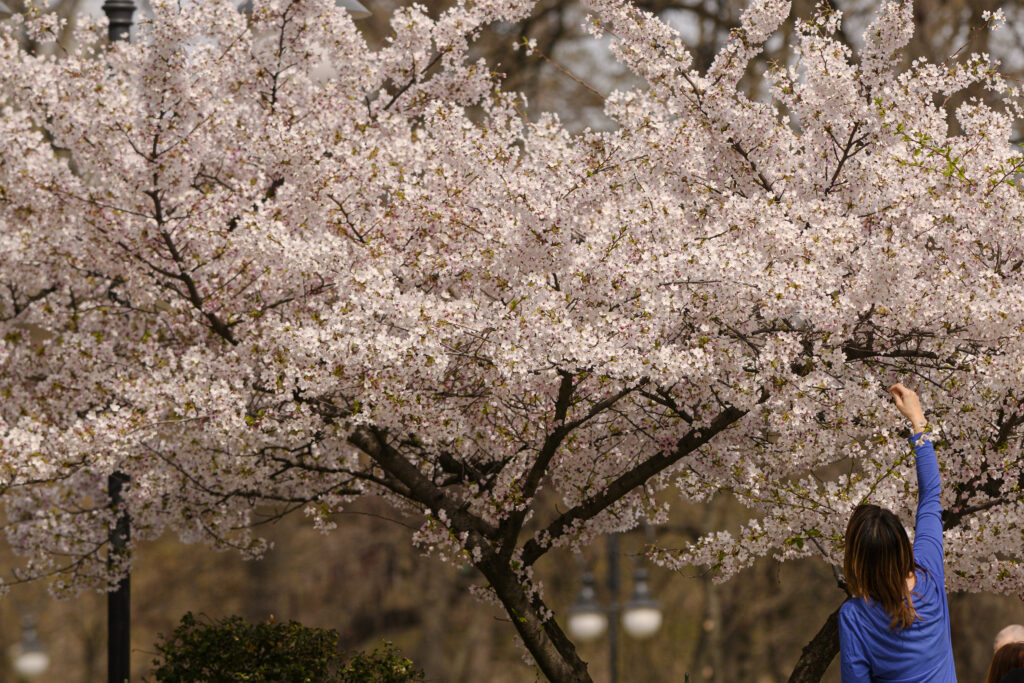 ANM, vremea până pe 23 martie: cald în toată țara, precipitații după jumătatea lunii