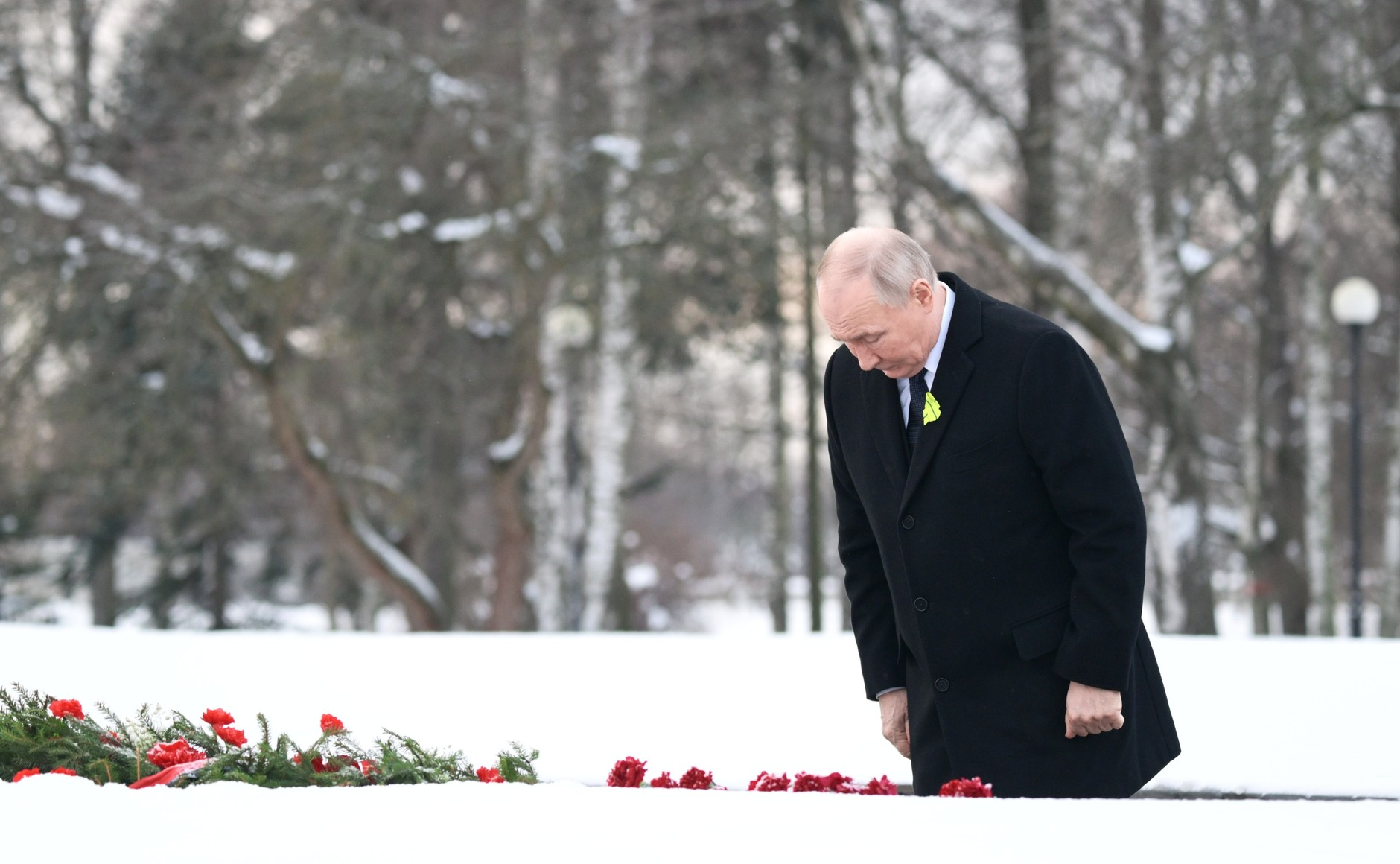 Fosta interpretă a lui Putin va supraveghea alegerile din Ungaria
