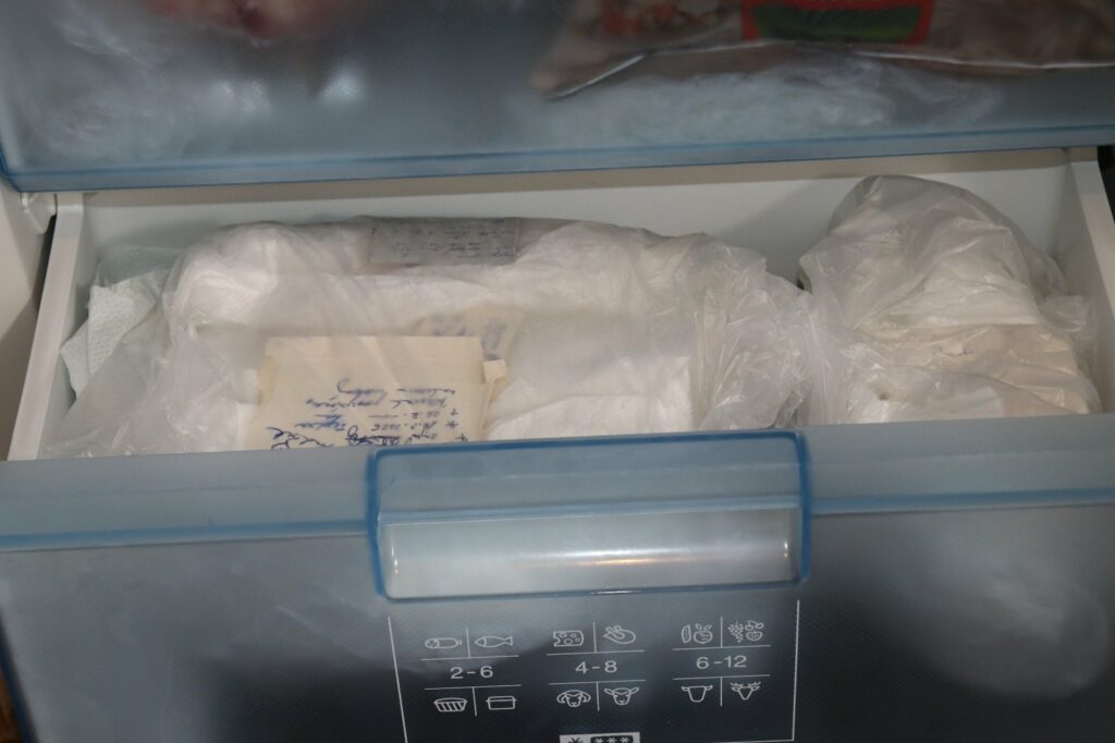 În Cehia, poliția a găsit aproape 100 de pui de pisică morți în congelatorul unei femei