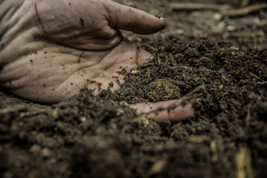 Cea mai mare colecție preistorică de mărgele are o vechime de 12.000 de ani