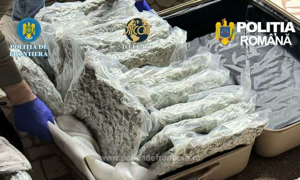 31 kilograme de canabis în trolerele unui italian care a vrut să intre în România pe la Nădlac