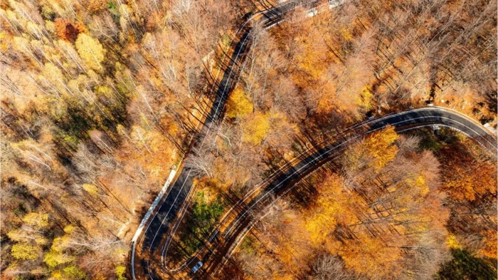 DN2L, drum strategic pentru conectivitatea zonei montane a Vrancei, a fost modernizat (P)