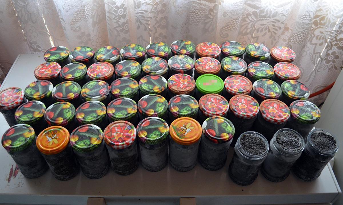 Icre negre și zeci de kilograme de sturion găsite la braconieri