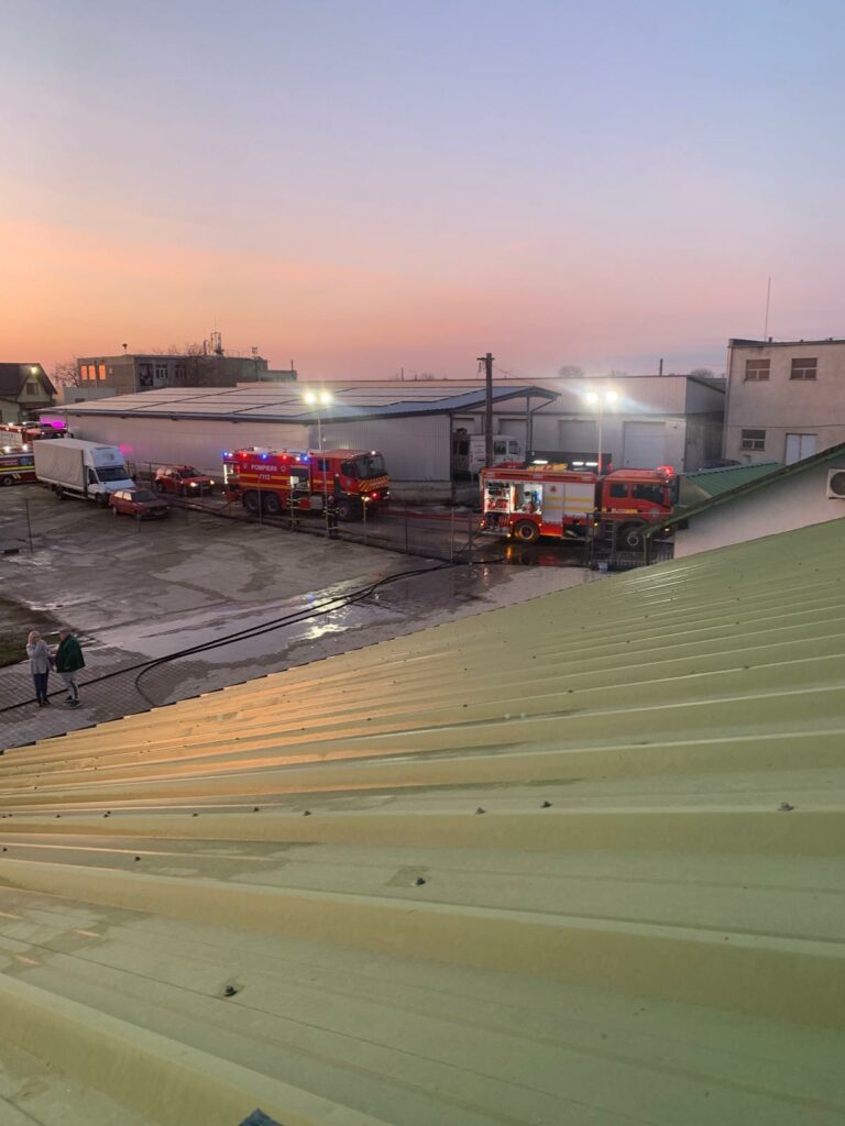 Incendiu într-o hală din Carei. Flăcările au cuprins un depozit de lemne