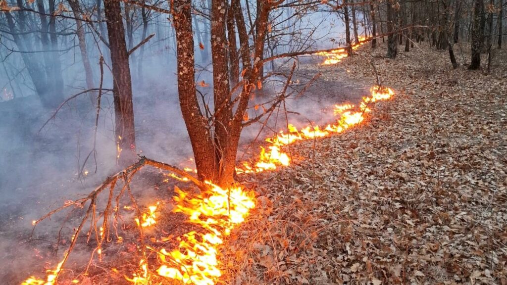 Timiș. Pompierii au intervenit, în acest weekend, în 190 de situații de urgență. 7 terenuri agricole, dar și 6 locuințe au luat foc