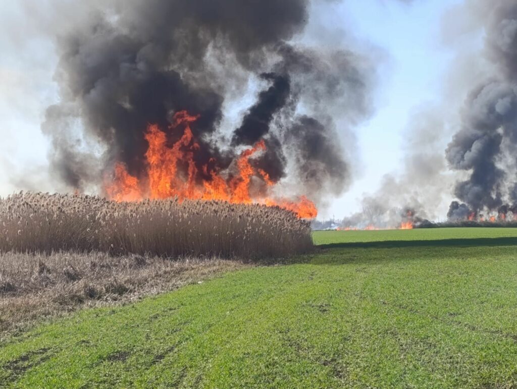 Un bărbat a fost găsit carbonizat pe o pășune incendiată din Bihor