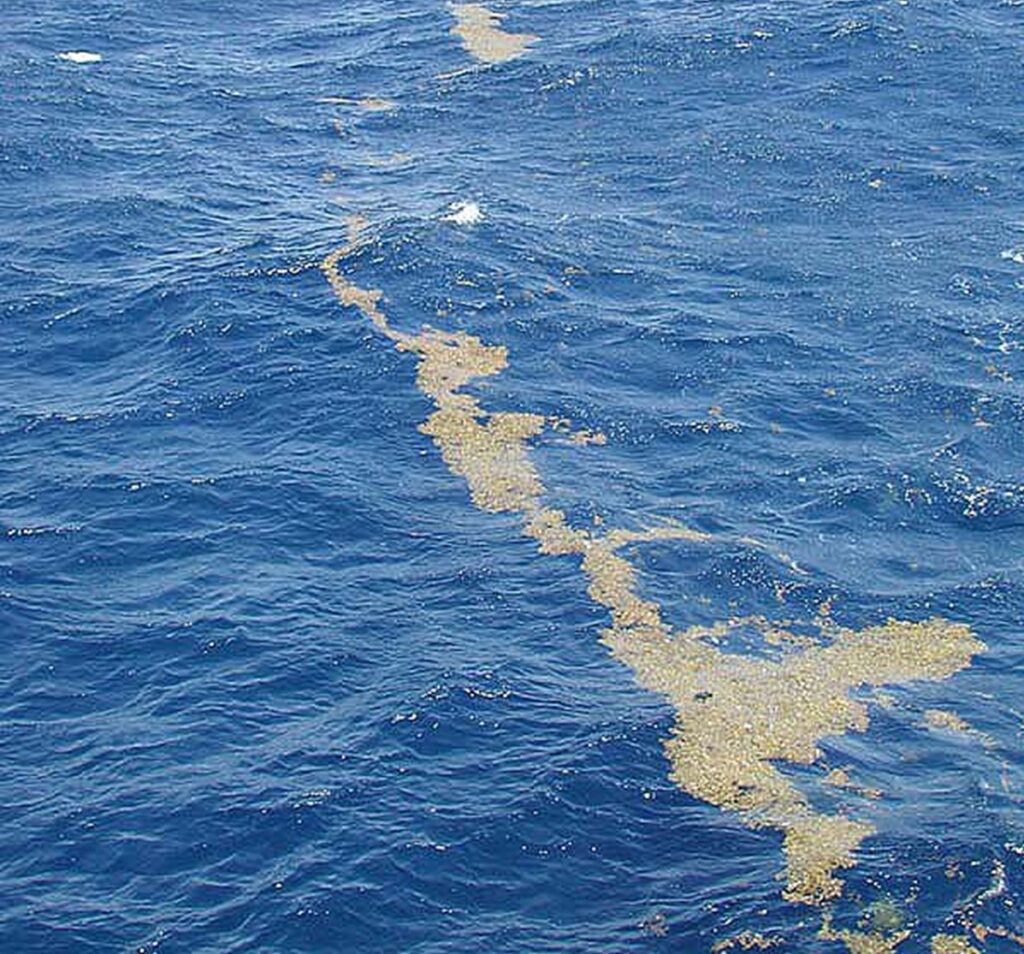 Există o mare care nu atinge niciun țărm. Nu pentru că e mică, ci pentru că nu are maluri