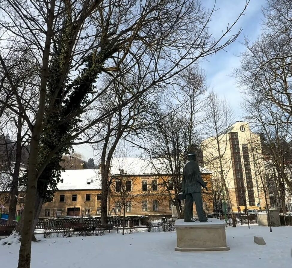 Primăria Brașov verifică arborii cu tomografii. Zeci de copaci prezintă risc de cădere