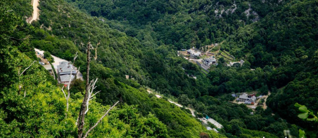 Dezlegare la pește / Două rețete de saramură de pe Athos și o ciorbă de pește lipovenească, pentru Buna Vestire