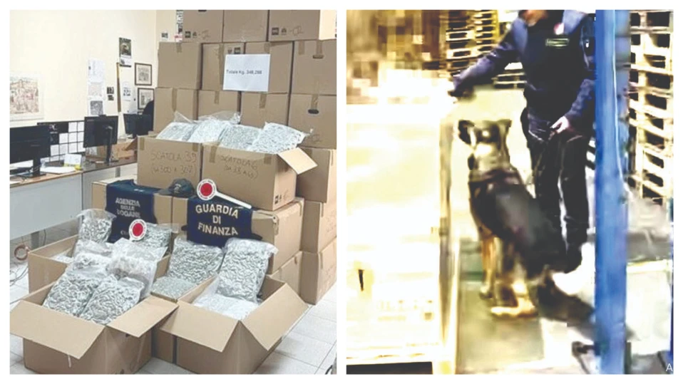 Lovitură de knock-out pentru canalele internaționale de trafic de droguri / Bulgar arestat în Italia după ce a fost găsit cu marijuana de 2 milioane de euro în camion