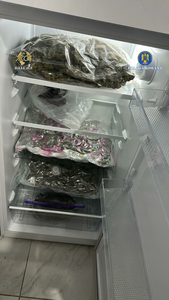 Kilograme de canabis ridicate de la 5 tineri din Vâlcea. Unul dintre el e acuzat și de proxenetism