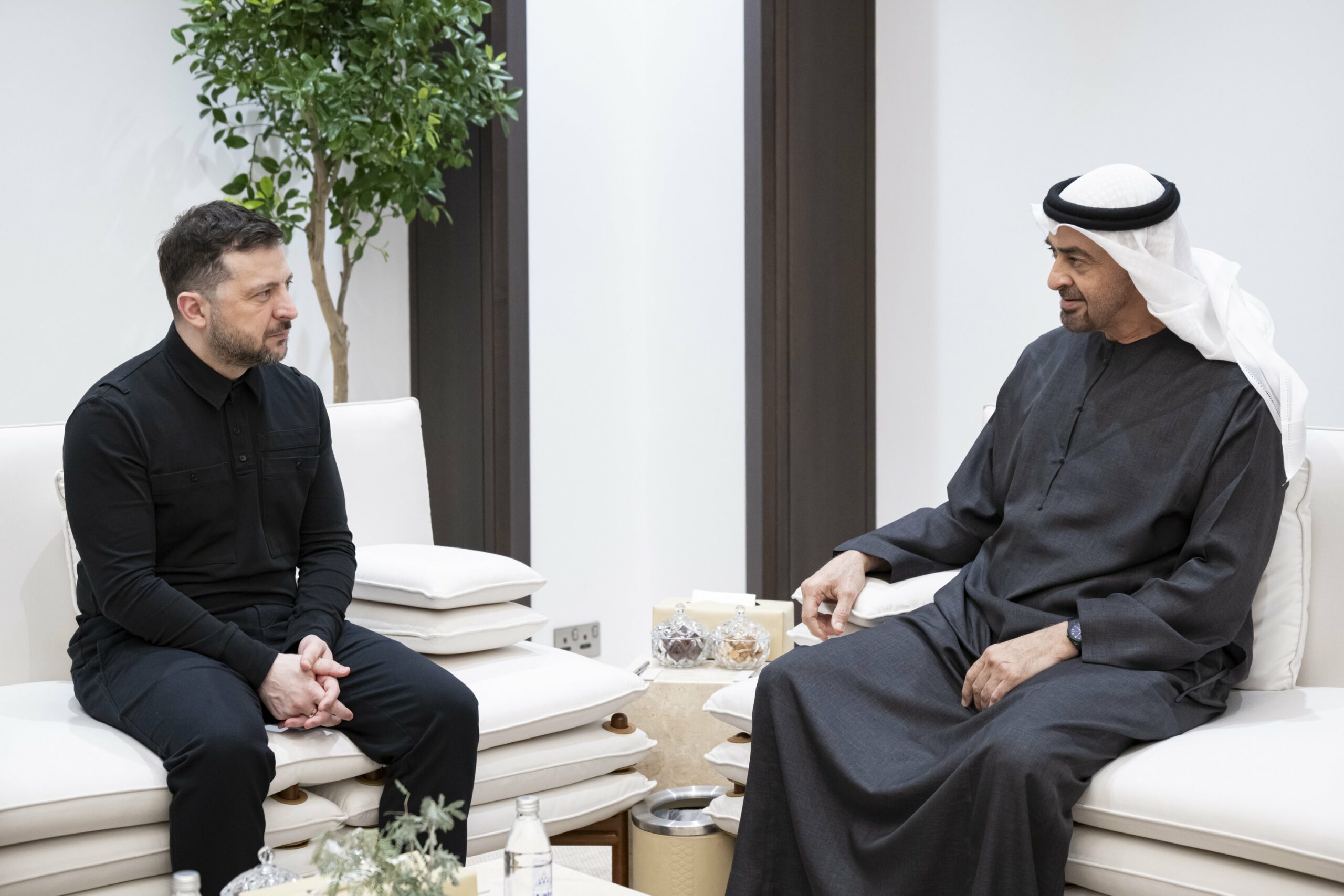 Ucraina și Emiratele Arabe Unite colaborează în apărare