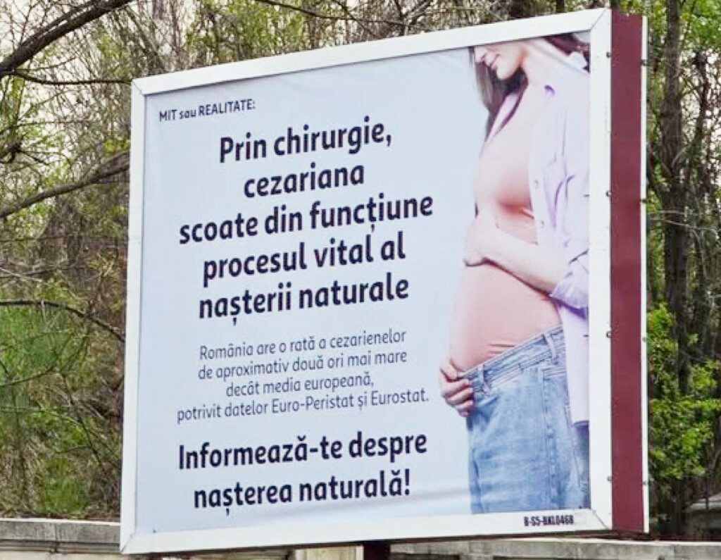 „În 2026, așa ceva?” Senatoarea Cynthia Păun cere intervenție de urgență după apariția unor panouri controversate