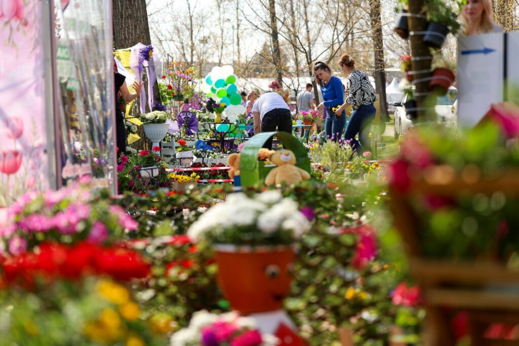 Simfonia Lalelelor aduce la Pitești floriști din toată țara