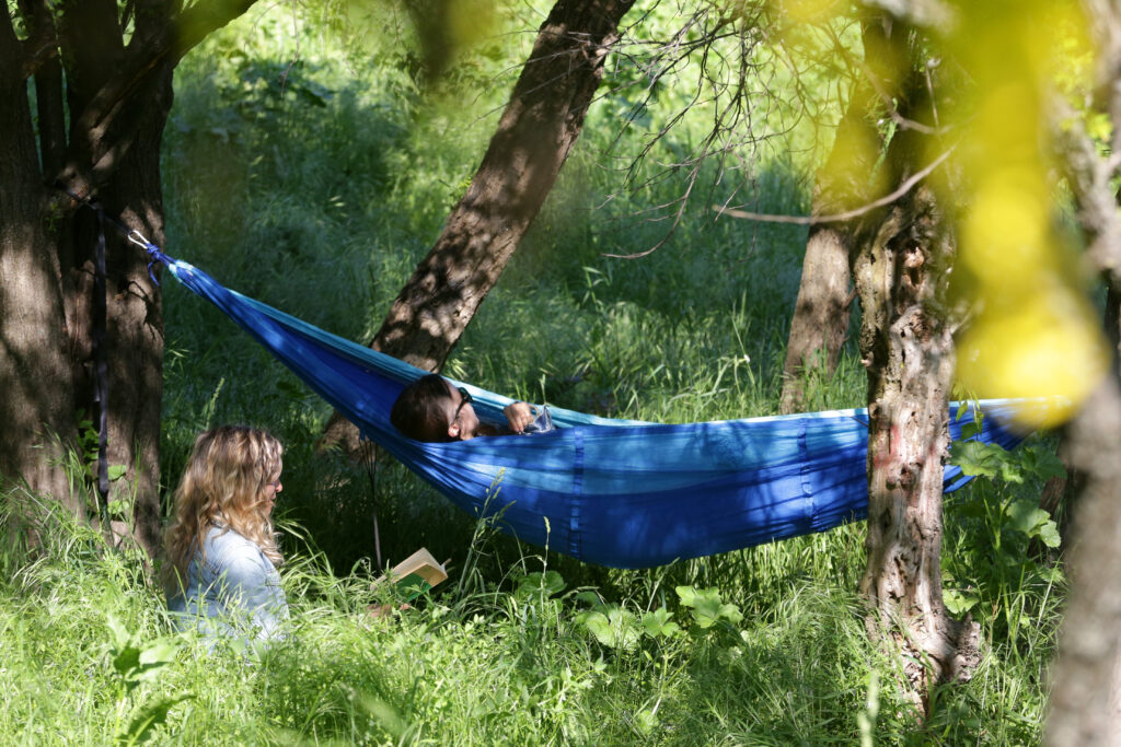 Școala care aduce bani / Cum poți câștiga, ca elev, mii de euro la un concurs despre natură