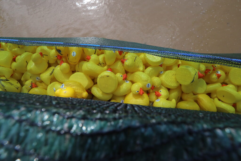 Microplasticele provin din obiecte de zi cu zi, de la jucării pentru copii la vopsea sau implanturi medicale